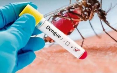 Treze Tílias registra primeiro caso de Dengue