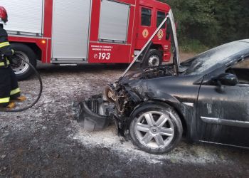  Bombeiros são acionados após carro pegar fogo na BR-153