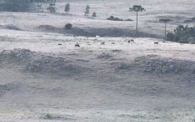 SC amanhece com formação de geada e temperatura mínima abaixo de -2ºC