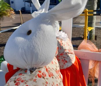  Coelhos de pelúcia são furtados da decoração de Páscoa na praça de Vargeão