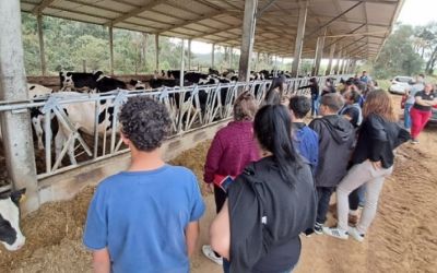 Jovens do projeto Novos Caminhos visitam granja leiteira de Catanduvas