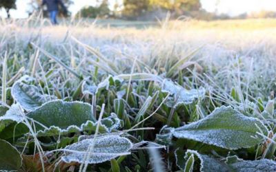 Frio perde força e região terá novamente chance de chuvas e temporais