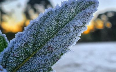 Serra de SC pode marcar -6°C no Dia dos Namorados