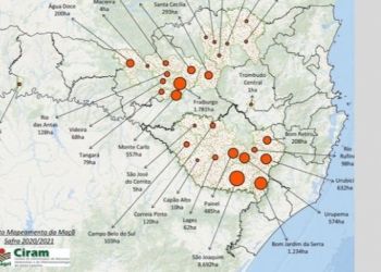 Mapeamento por satélite da Epagri confirma: SC é o maior produtor de maçã do Brasil