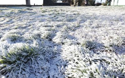 SC tem chance de neve e geada na próxima semana na Serra