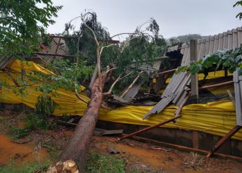 Vendaval provoca danos em propriedade rural