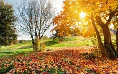 Outono inicia com temperaturas acima da média em Santa Catarina