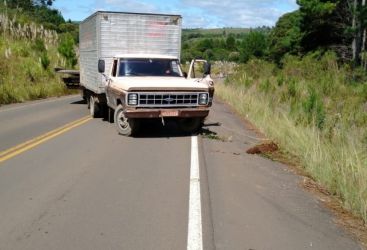 Motorista de caminhão foge após tentar atropelar policiais