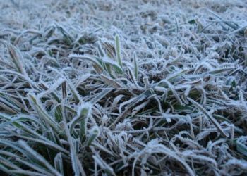 Frio intenso vai marcar os próximos dias em SC