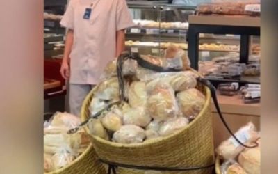 Cobra é flagrada rastejando sobre pães em supermercado de SC