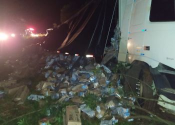 Carreta sai da pista e tem carga saqueada na BR-282 em Catanduvas