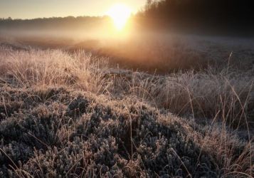 Semana começa com sol e amanhecer gelado no Oeste Catarinense