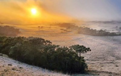 Semana deve ter frio intenso em Santa Catarina