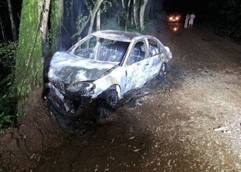 Carro pega fogo após colisão em árvore em Videira