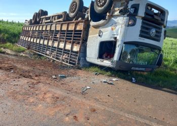  Veículo que transportava suínos colide contra ônibus escolar e caminhão na BR-282