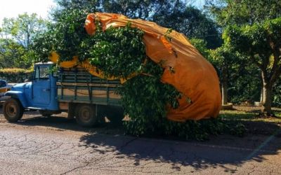 Polícia Rodoviária flagra transporte irregular de carga na SC-283