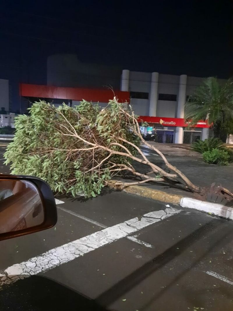 Chuvas, temporais e ventos fortes causam estragos no Oeste de SC