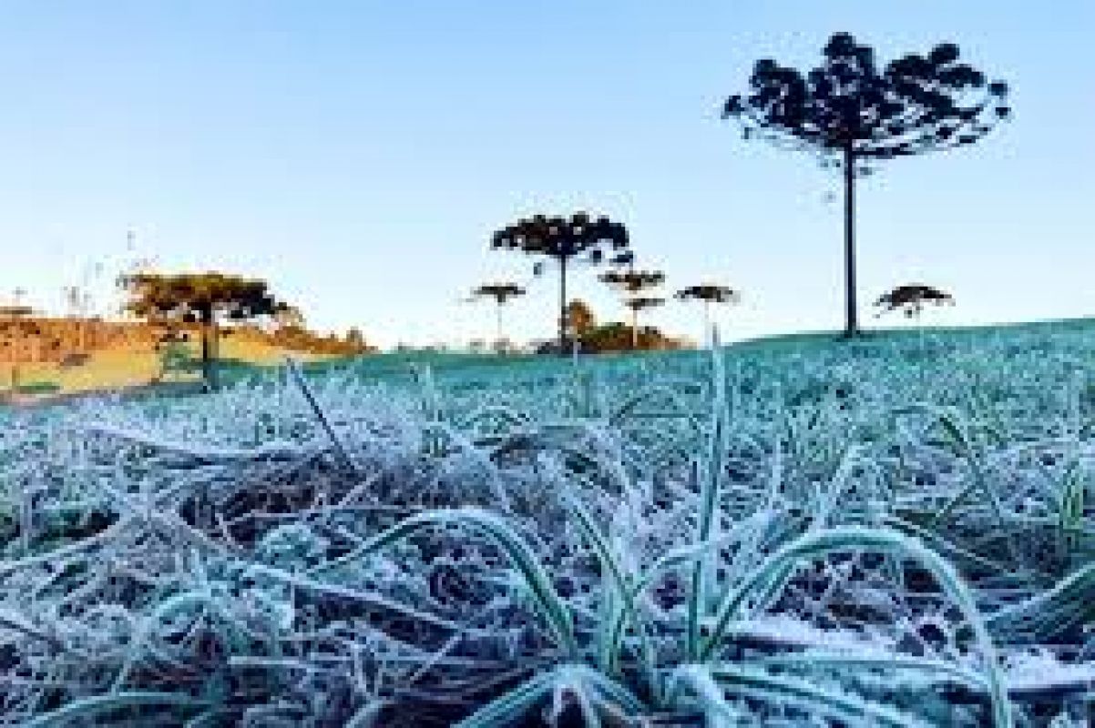 Santa Catarina registra retorno das temperaturas mais baixas