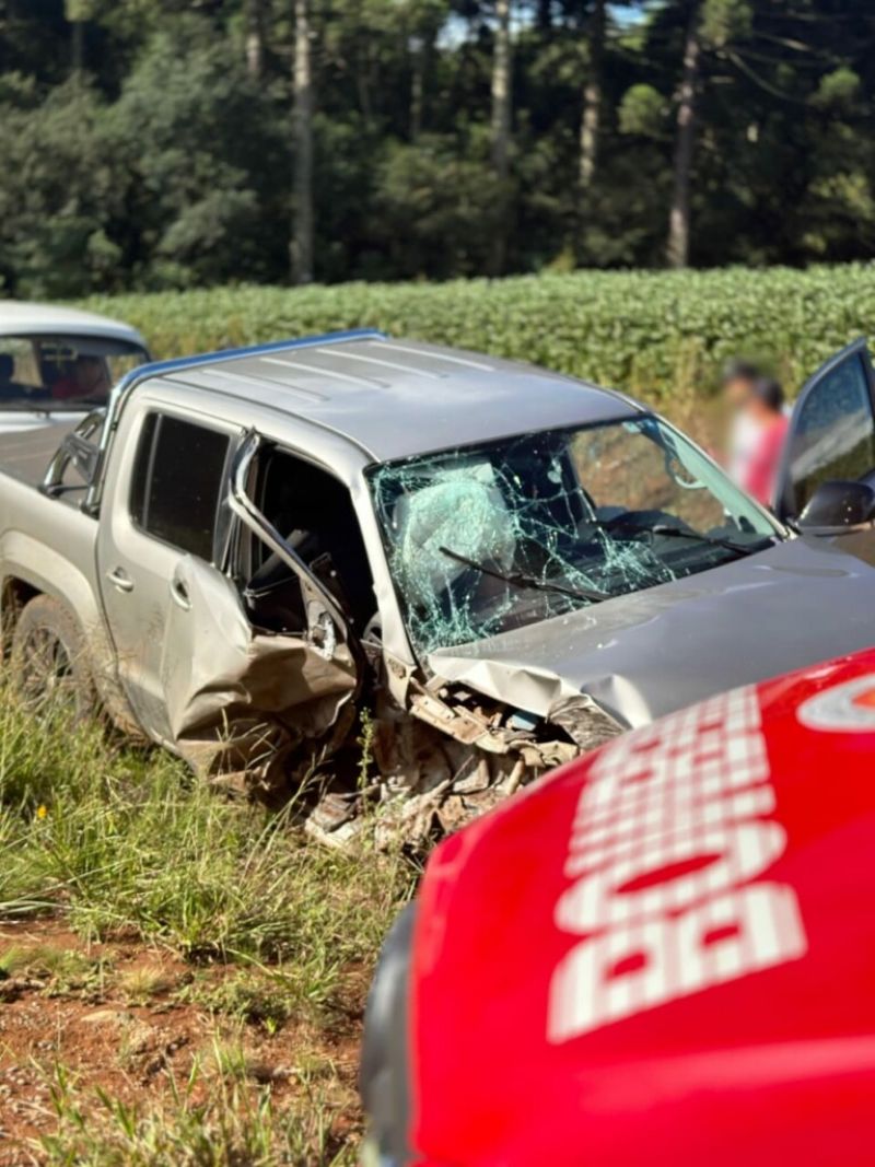 Jovem fica ferido após caminhonete colidir em árvore