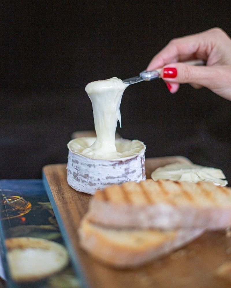 Queijo produzido em SC é eleito o melhor da América Latina