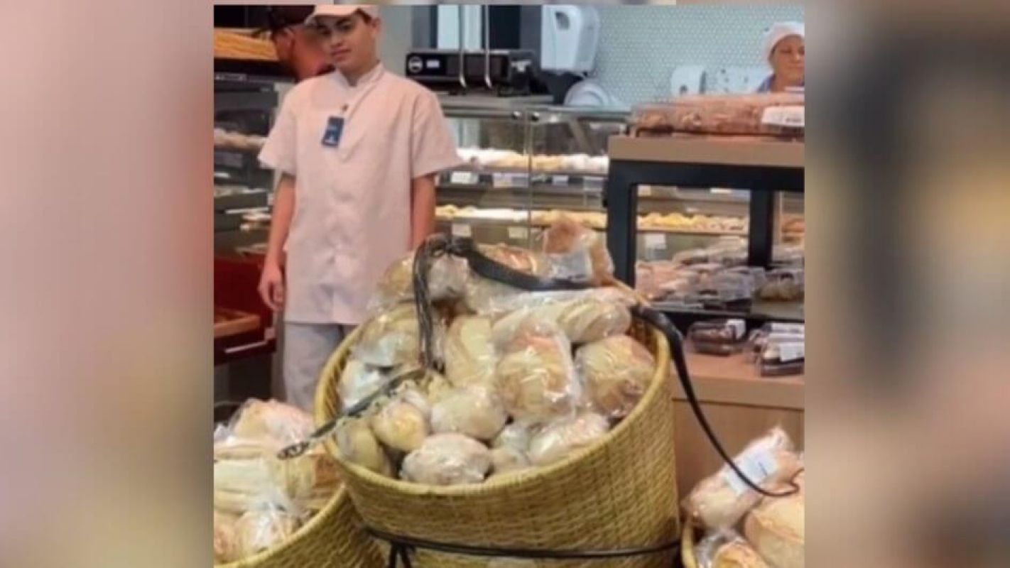 Cobra é flagrada rastejando sobre pães em supermercado de SC
