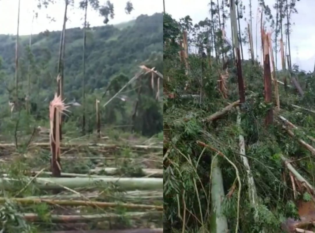 Defesa Civil confirma passagem de tornado durante a madrugada em Itá