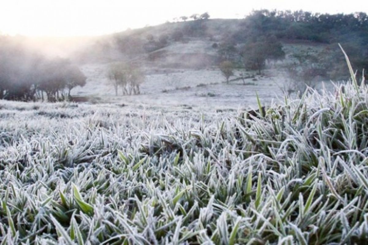 Tendências para o Outono e Inverno: Expectativa de frio mais intenso e neve para SC
