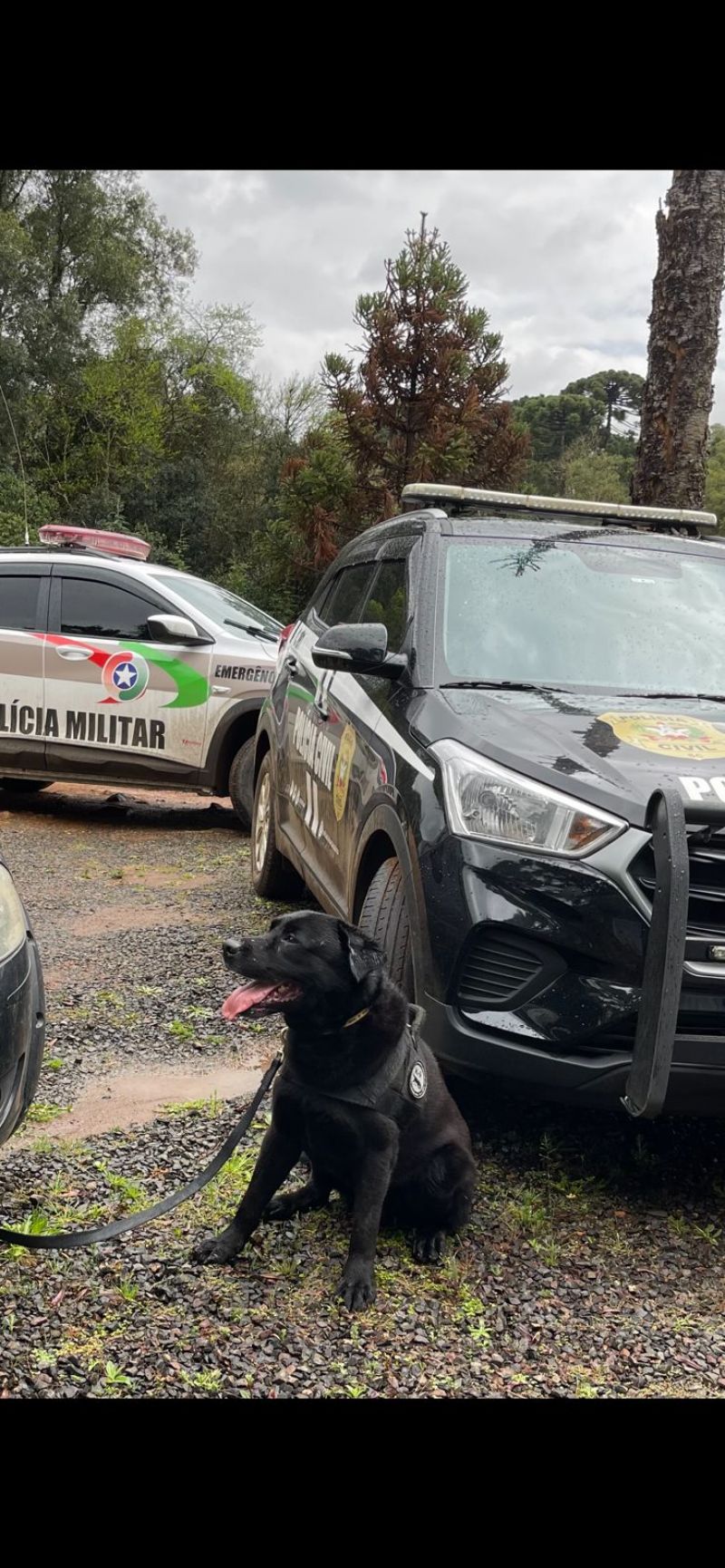 Dois mandados de busca por tráfico de drogas são realizados em Catanduvas. 