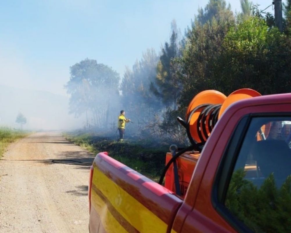 Bombeiros combatem incêndio em área de reflorestamento 