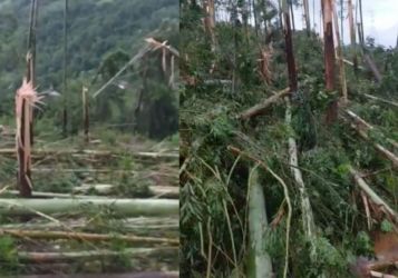 Defesa Civil confirma passagem de tornado durante a madrugada em Itá